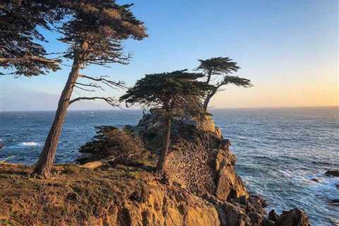 The Ultimate Guide to Big Sur Road Trip Itinerary with 13 Stops