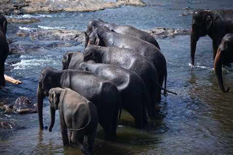 Top 7 Wonders of Sri Lanka
