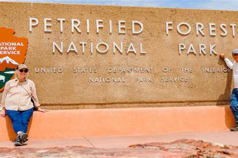 Getting off the well-beaten path: Why you should visit Petrified Forest National Park
