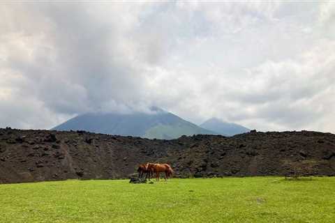 Finca el Amate, Guatemala: Hiking an Old Lava Trail on a Volcanic Farm