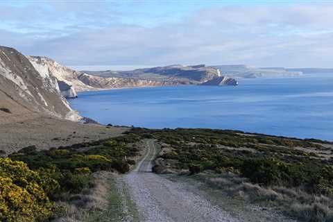 An Input to Planet Purbeck