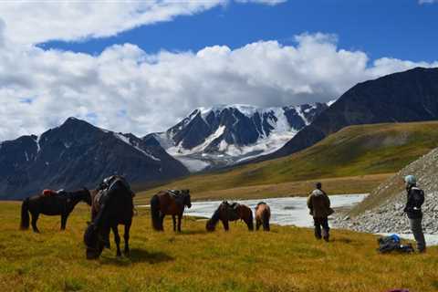 Mongolian Horse Culture: Interesting Facts & History