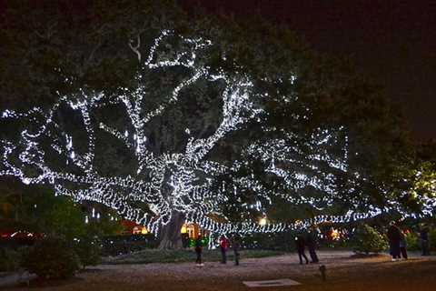 New Orleans City Park: Christmas In The Oaks With Grayline Tours
