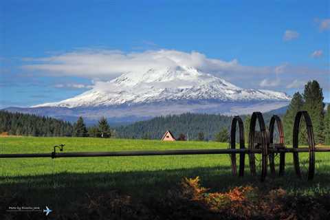 Top 5 Things to Do in Trout Lake, Washington You Can’t Miss