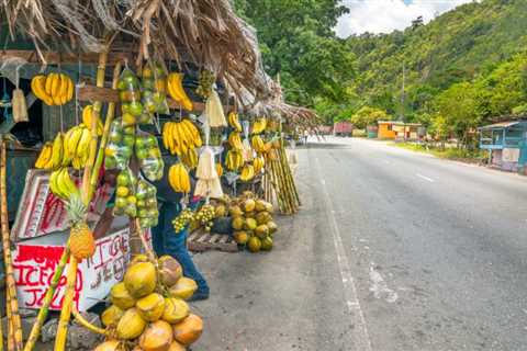 9 Trick Things to Understand About Renting Out a Vehicle in Jamaica