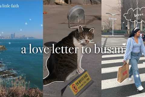 living in guam | travel diaries | episode 2: a love letter to busan ❄️🐈‍⬛
