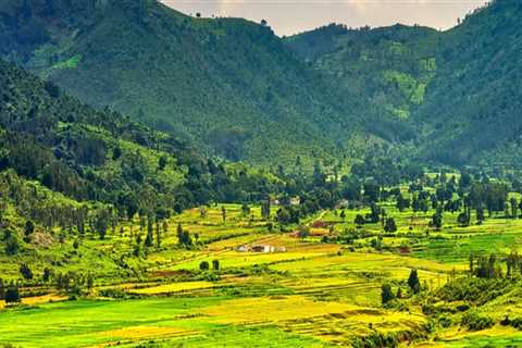 Exploring the Beauty of Kerala Araku Valley