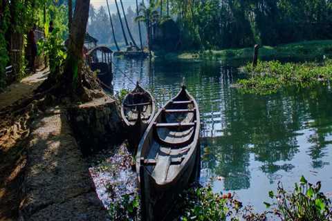 Discover the Magic of Kerala: Why it Stands Out Among India's States