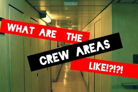 What are the crew areas like?! (On a cruise ship)