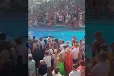 Chaos at the Arvia Naming Ceremony as Olly Murs jumps in the SkyDome pool! #cruise #planetcruise