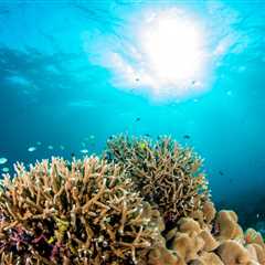 Scientists Discover Surprising News About the Fate of Coral Reefs in the Tropical Pacific Ocean