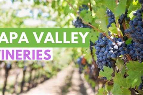 Top 5 Best Wineries To Visit In Napa Valley, California- Travel Video