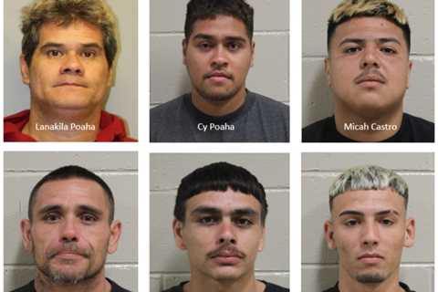 Six men charged following investigation into large fight at James Kealoha Beach Park in Hilo