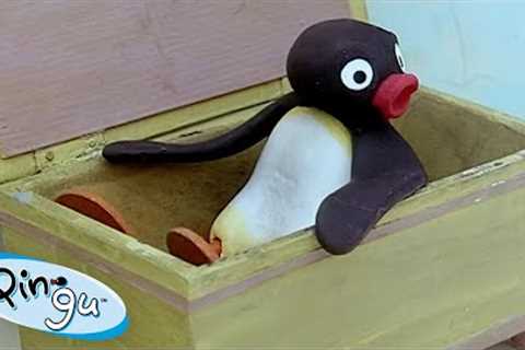 Pingu Needs a Vacation 🐧 | Pingu - Official Channel | Cartoons For Kids