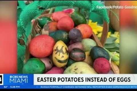 Painting potatoes instead of eggs after egg prices increase