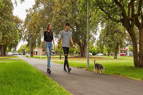 Exploring Adelaide City with Your Dog