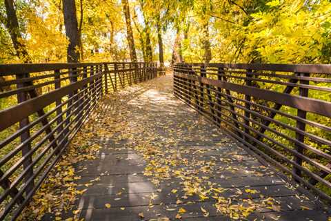 Five Fun, Affordable Fall Adventures in Fort Collins, Colorado