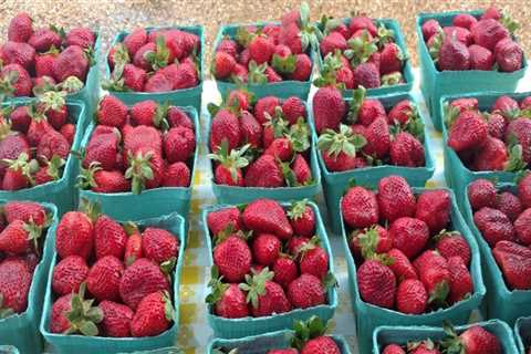 How Much Does a Flat of Strawberries Cost at the Plant City Strawberry Festival?