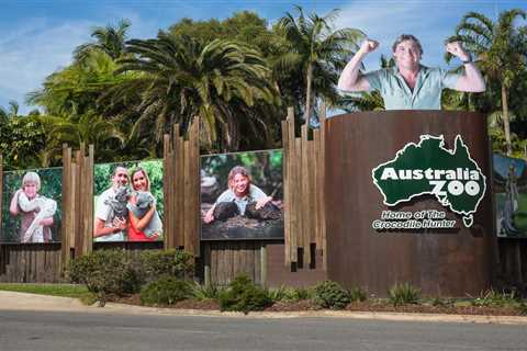 Brisbane Zoo – The Best Family Attraction in Australia