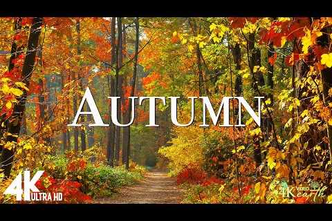 Autumn 4K UHD - Enchanting Autumn Nature Scenes + Relaxing Piano Music for Stress Relief
