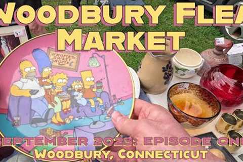 I Think I Love the Woodbury Flea Market! September 2023, Episode One.