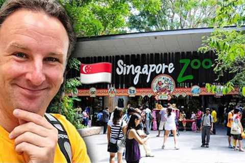 Complete Guide to the SINGAPORE ZOO: The World's Best Zoo!