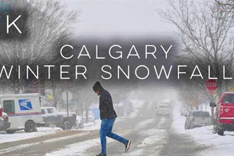 【4K】Calgary, Winter Snowfall | Downtown |Canada Alberta #canadasnow  #snowfall #blizzard #snowstorm