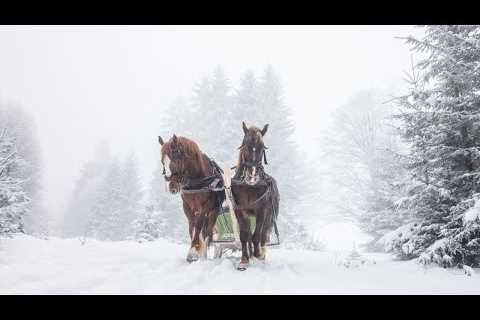 Celtic Christmas Carols, Soft Holiday Christmas Music Snowy Winter Sleigh Ride Open Road Folk