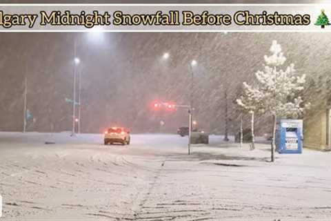 Calgary Midnight Snowfall before Christmas 🎄4K Canada Night Snow walk #Calgary #canada #snow #yyc