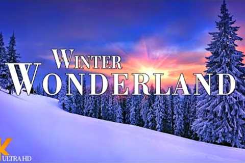 Winter Wonderland 4K Ultra HD • Stunning Footage, Scenic Relaxation Film with Christmas Music
