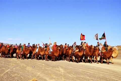 The Thousand Camel Festival: A Spectacle of Vibrant Culture and Rich Heritage