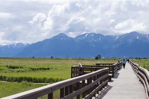 7 Things to Do in Anchorage, Alaska