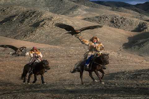 Mongolian Eagle Hunting: A Bond Between Human and Bird