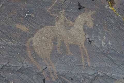 Deer cave paintings of Mongolia: The Altai Mountain Cave Painting Complex - Discover Altai