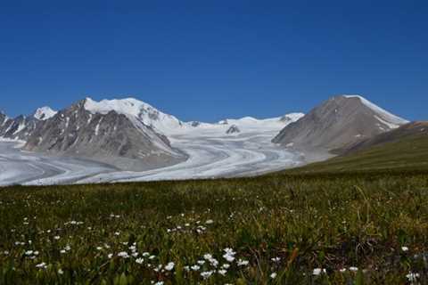 Landscapes of Dauria: Eastern End of Mongolia - Discover Altai