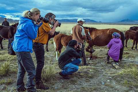 Mongolian Dairy Products: Tsagaan Idee