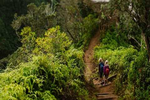 Exploring the Best Hiking Trails for Families in Honolulu