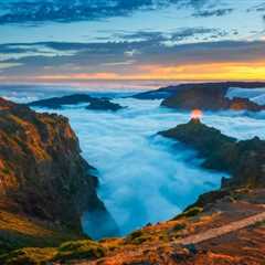 Direct flights from Brussels to MADEIRA from €48
