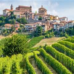 Tasting Your Way Through the Countryside: The Allure of Scenic Wine Tours