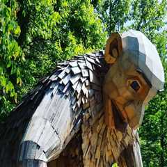 Exploring Eco-Friendly and Sustainable Tour Options in Northern Kentucky