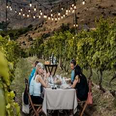 How Vineyard Tours Offer More Than Just Wine Tasting