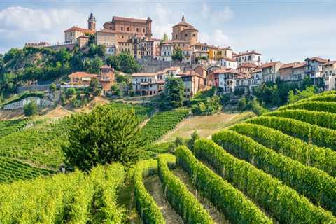 Tasting Your Way Through the Countryside: The Allure of Scenic Wine Tours