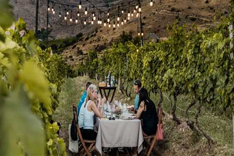 How Vineyard Tours Offer More Than Just Wine Tasting