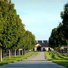 Discovering the Best of Nicholasville, Kentucky