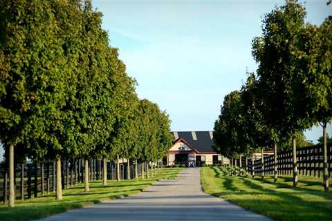 Discovering the Best of Nicholasville, Kentucky