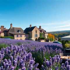 Loire Valley Chateaux Drive: A Timeless Journey in France