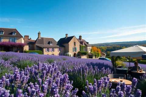 Loire Valley Chateaux Drive: A Timeless Journey in France