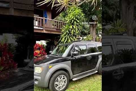 Hawaii vacation that’s actually affordable??