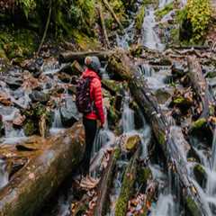 Exploring the Best Water Activities in Central North Carolina: A Guide to Top Tourist Spots