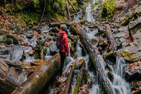 Exploring the Best Water Activities in Central North Carolina: A Guide to Top Tourist Spots